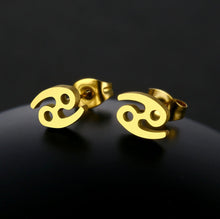 Load image into Gallery viewer, Stainless Steel Zodiac Necklace & Earrings Set