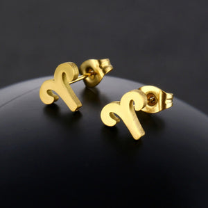 Stainless Steel Zodiac Necklace & Earrings Set